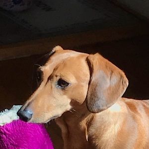 Meet your Posher, Gabriel